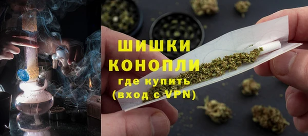 mdpv Вяземский