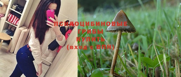 mdpv Вяземский